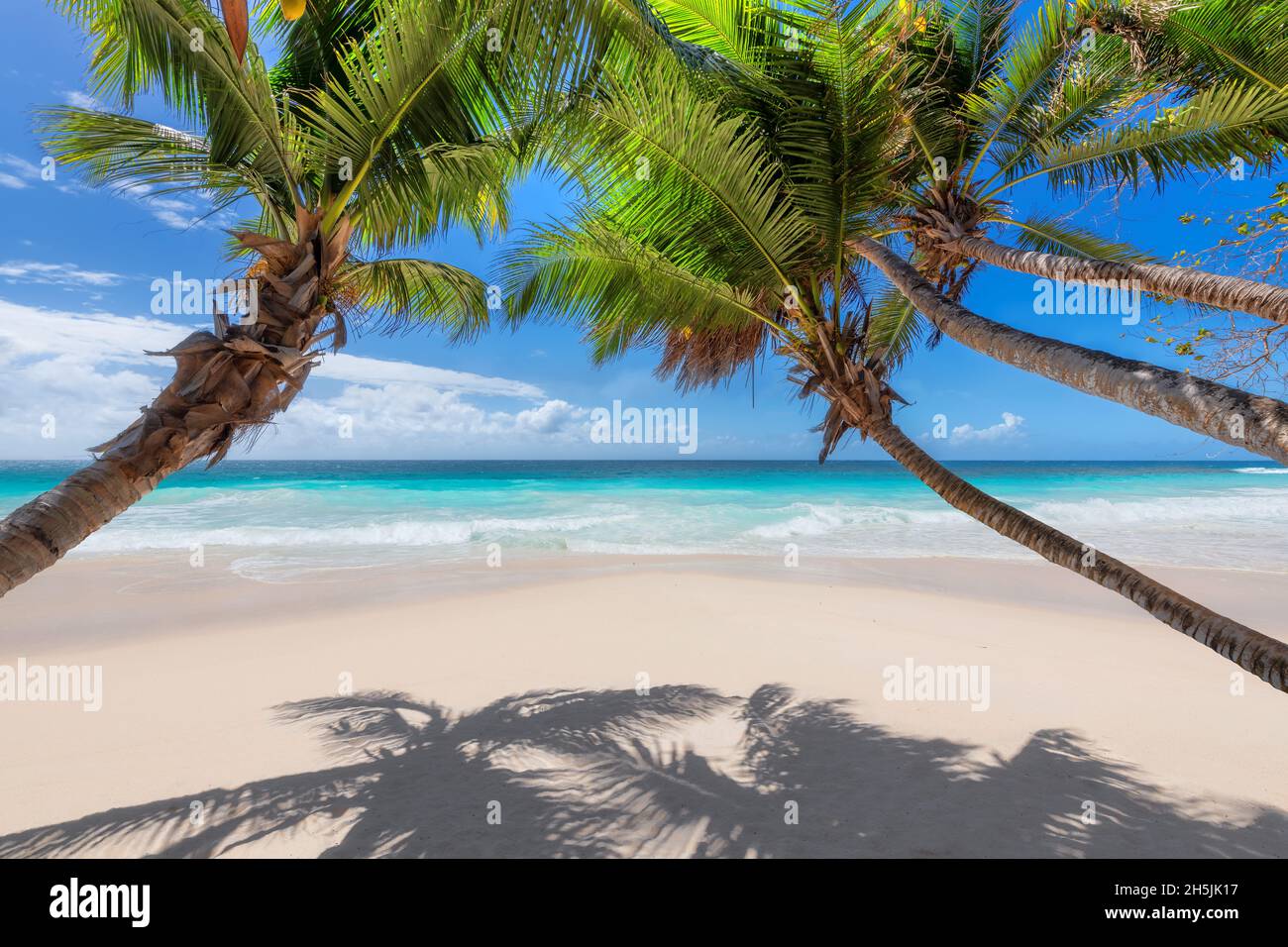 Exotischer sonniger Strand, Kokospalmen und tropisches Meer Stockfoto