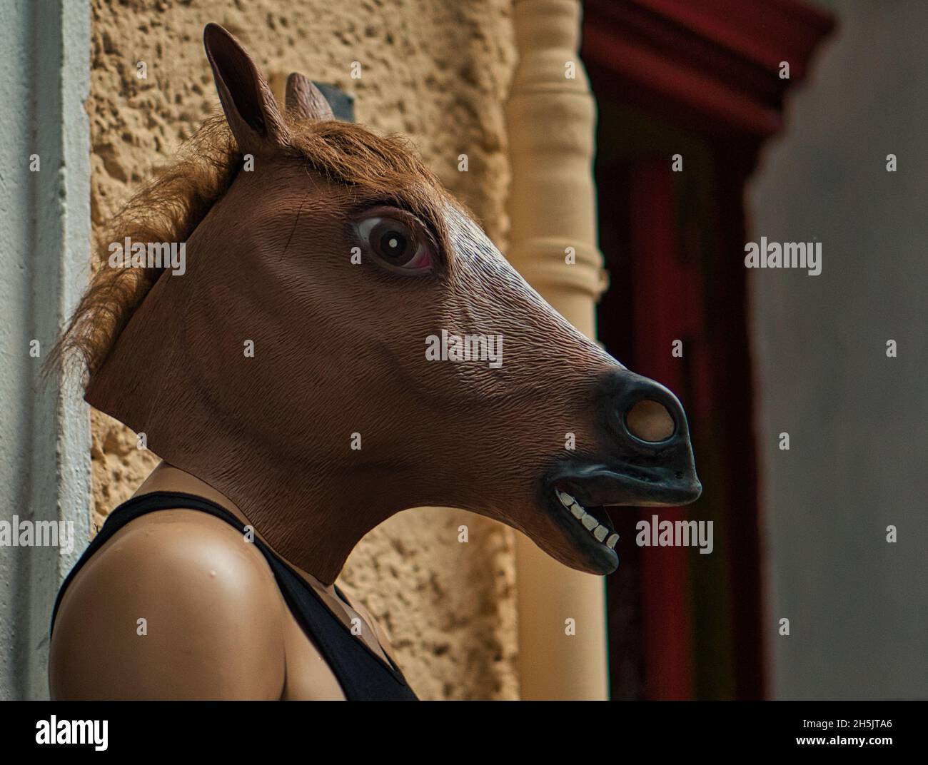 Schaufensterpuppe mit Pferdemaske. Abstrakter Blickfang in einer Berliner Straße vor einem Einkaufszentrum Stockfoto