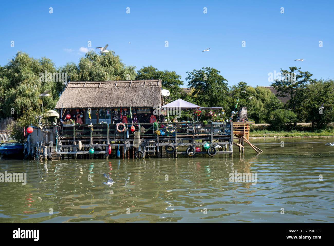 Haus auf Pfählen am Ufer eines Zweigs des Donaudeltas, Dorf Sfantu Gheorghe im Donaudelta, Rumänien Stockfoto