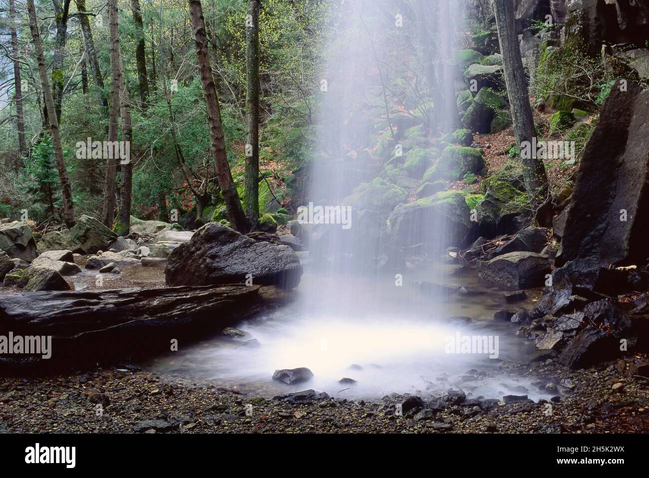 Fällt in der Nähe von Dunsmuir, Shasta National Forest, Kalifornien, USA Stockfoto