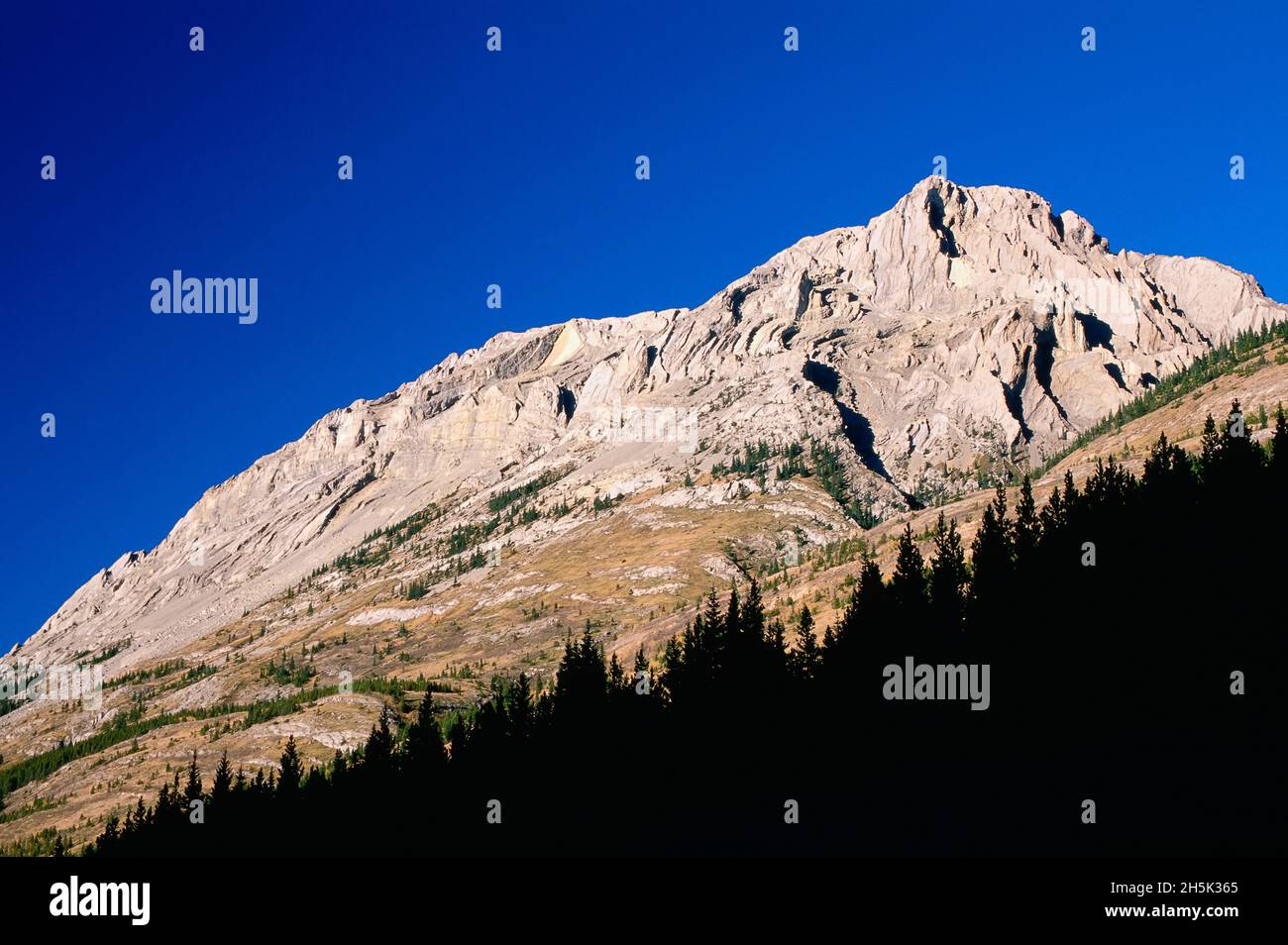 Rocky Mountains, Kananaskis Country, Alberta, Kanada Stockfoto