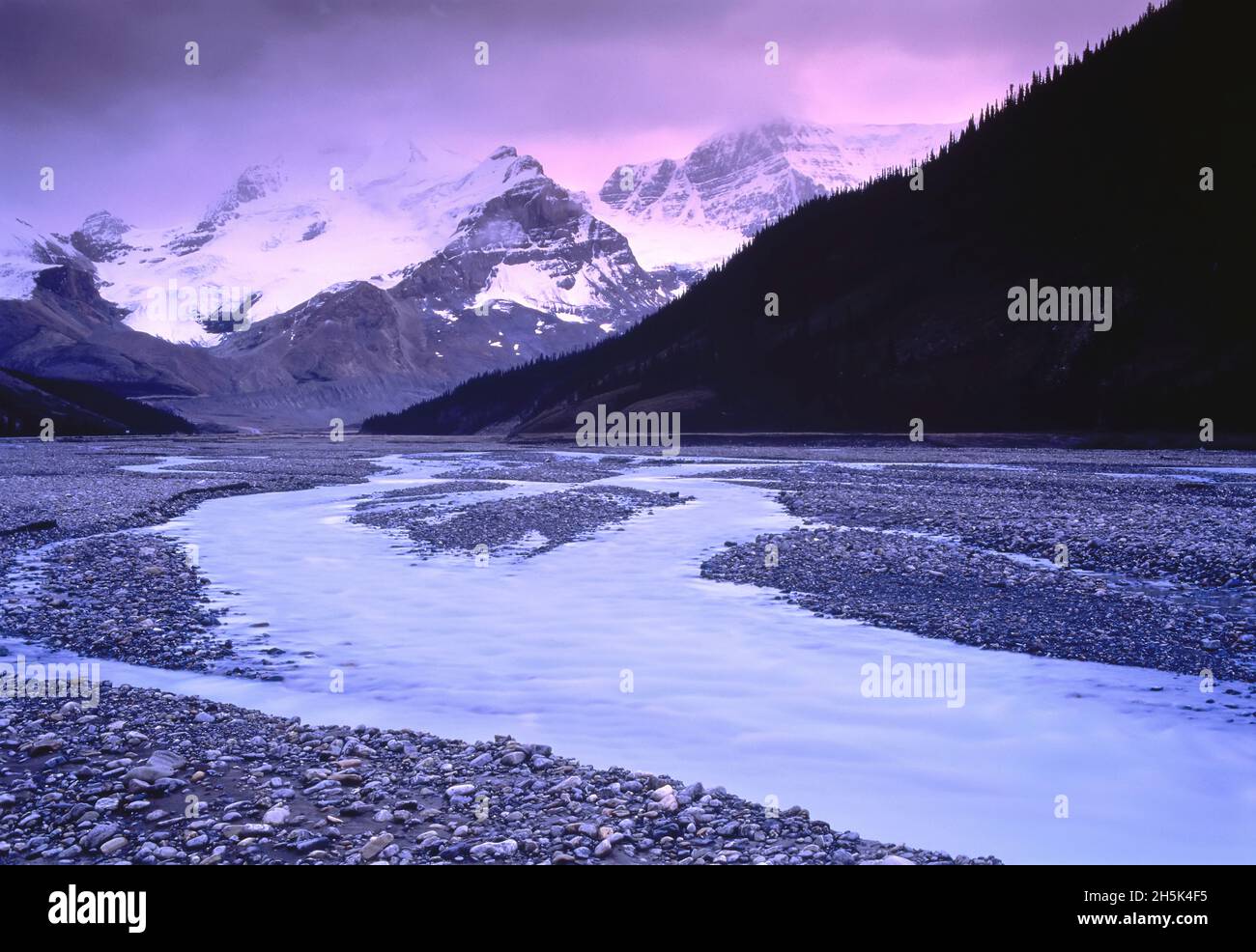 Mount Athabasca, Sunwapta River Jasper Nationalpark, Alberta, Kanada Stockfoto