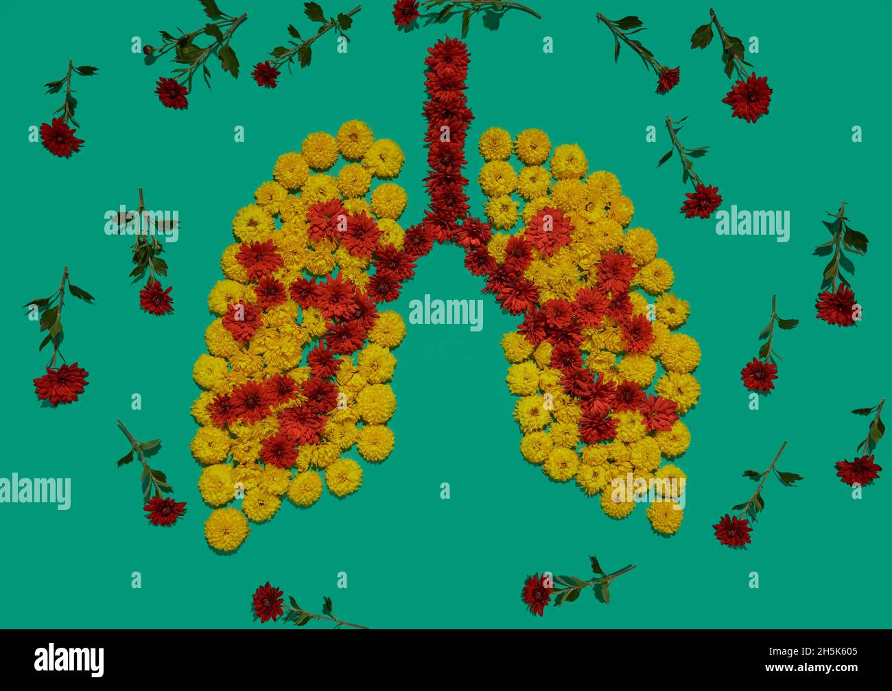 Form der menschlichen Lunge, Blumeninstallation, Lunge Gesundheitskonzept. Teil der medizinischen Bilder von inneren menschlichen Organen Stockfoto
