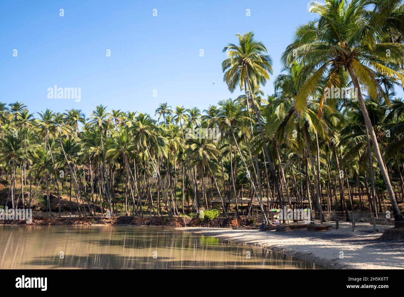 Küstenlagune am Strand von Cabo de Rama in Cabo Serai; Cabo de Rama, Goa, Indien Stockfoto