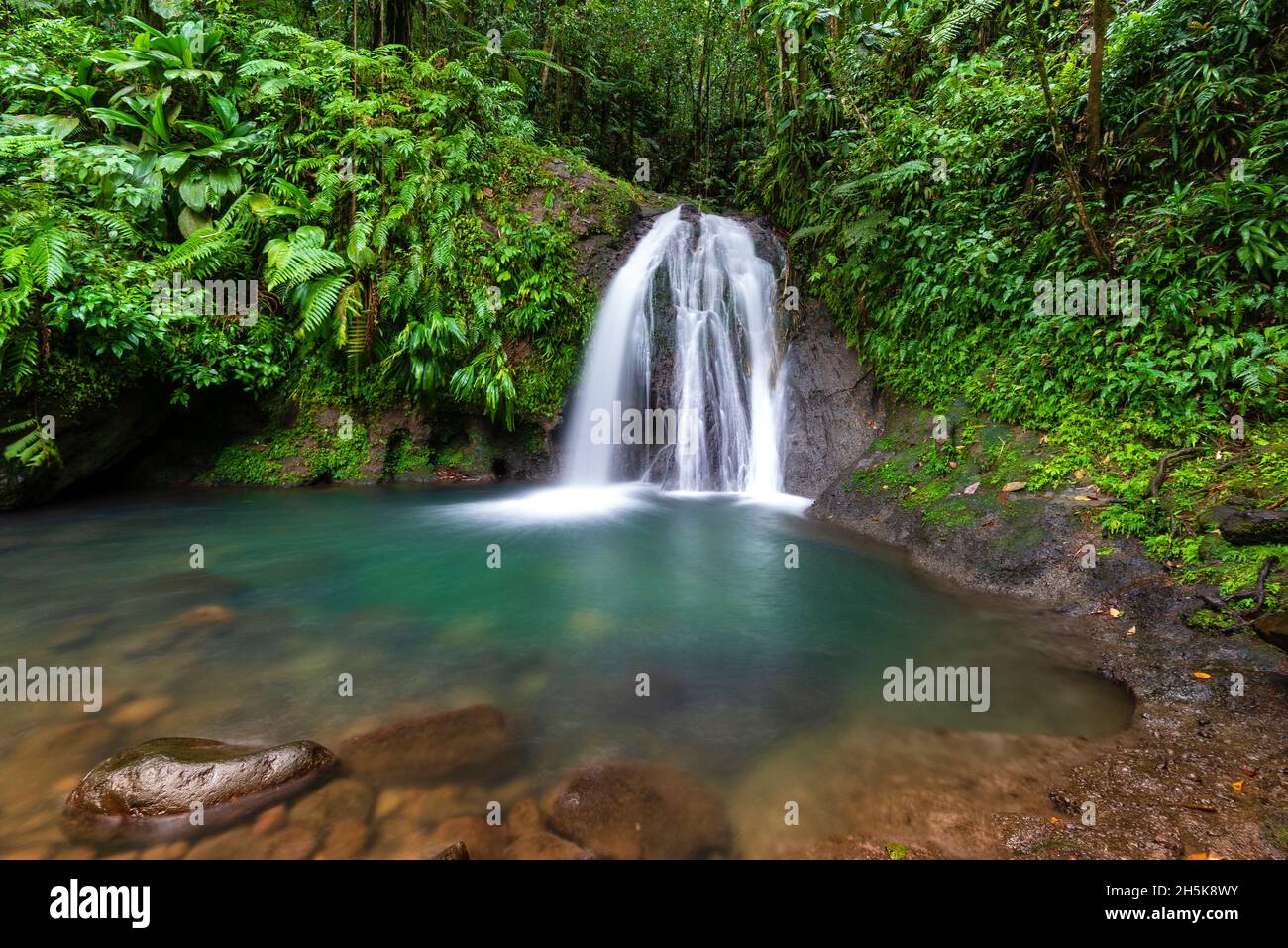 Heiterer Wasserfall, Cascades aux Ecrevisses, in einem tropischen Wald auf Basse-Terre; Guadeloupe, Französisch-Westindien Stockfoto