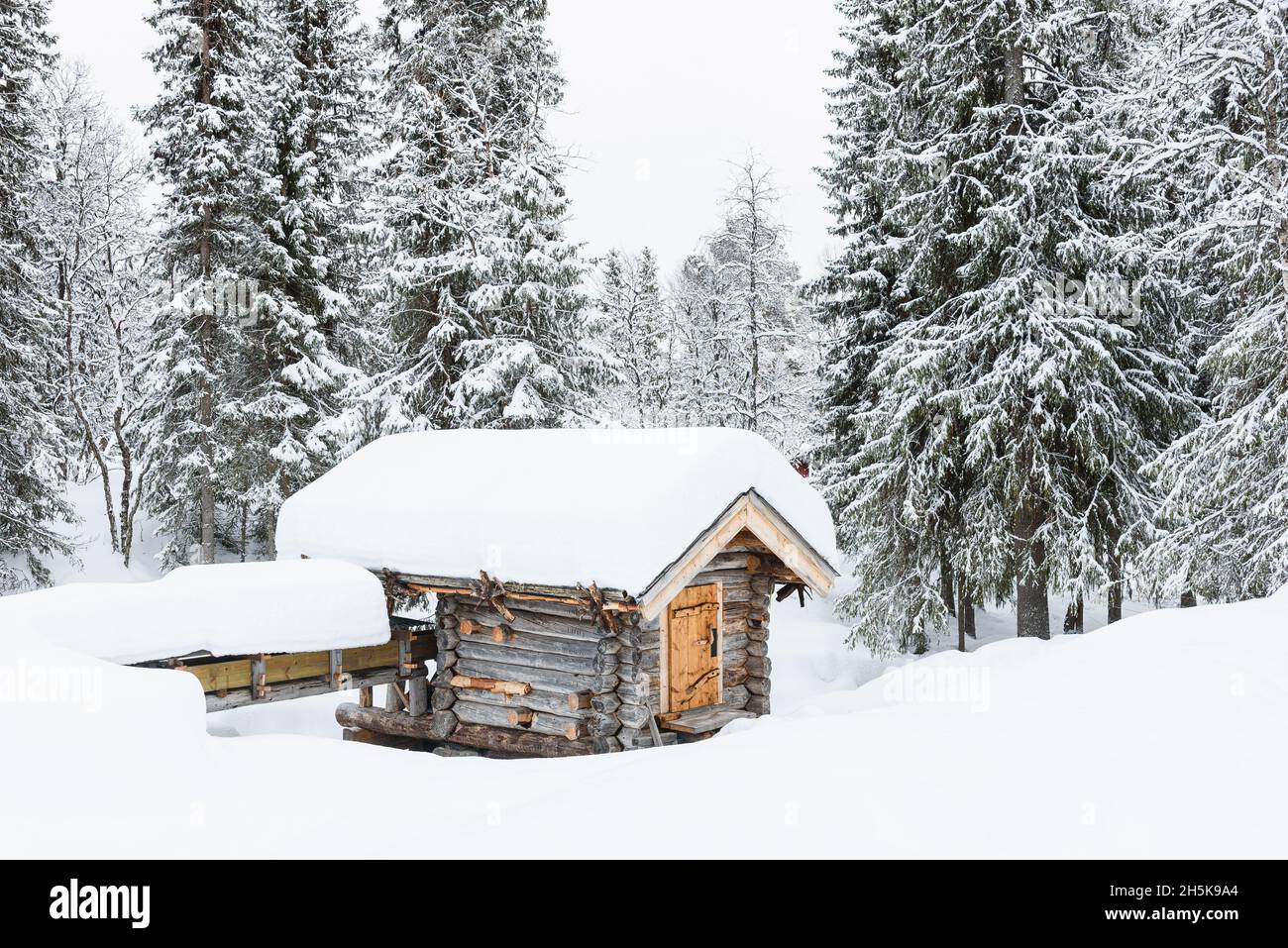 Alte, schneebedeckte Holzscheune im Wald Stockfoto