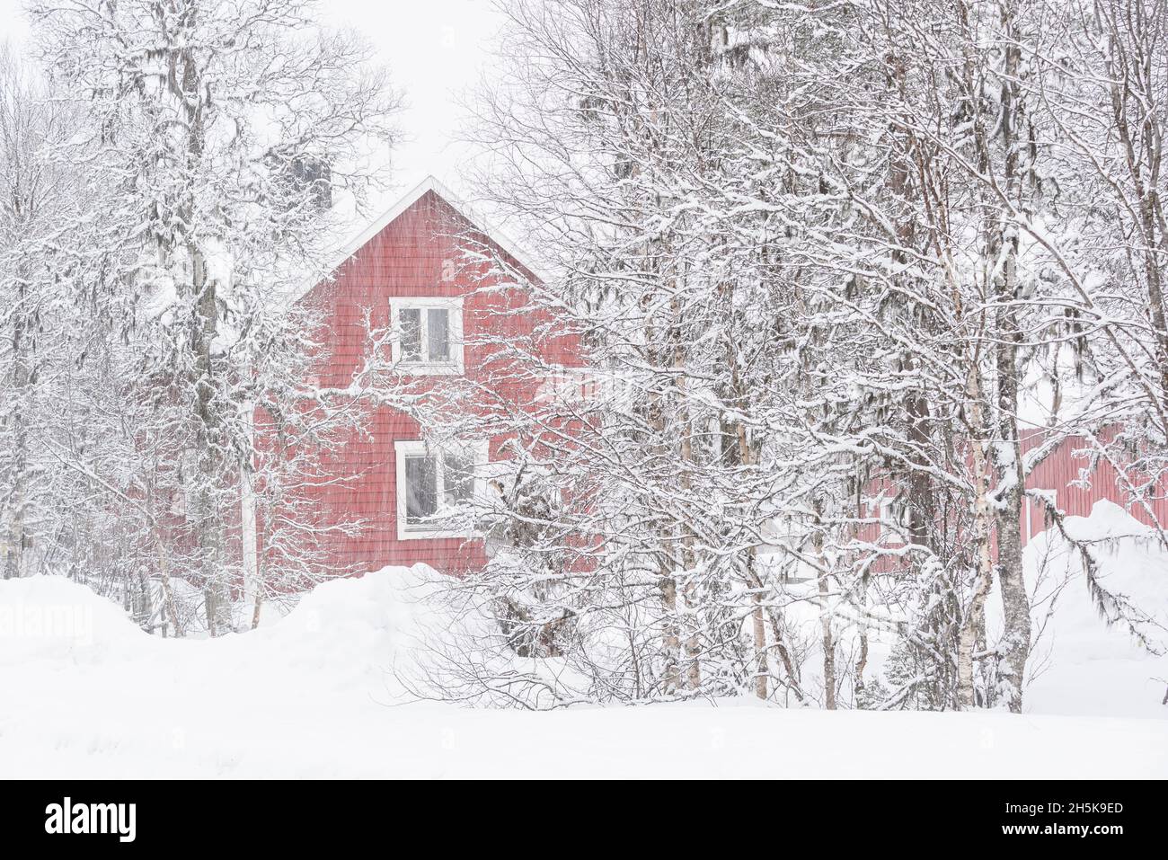 Rotes Haus im Wald bei Schneefall Stockfoto