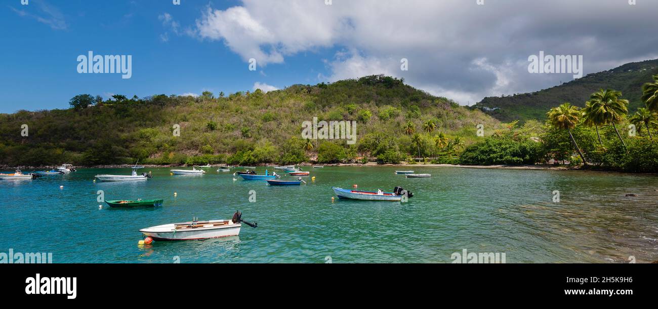 Motorboote vertäuten in der Bucht am Ankerplatz von Anse a la Barque auf Basse-Terre; Guadeloupe, Französisch-Westindien Stockfoto