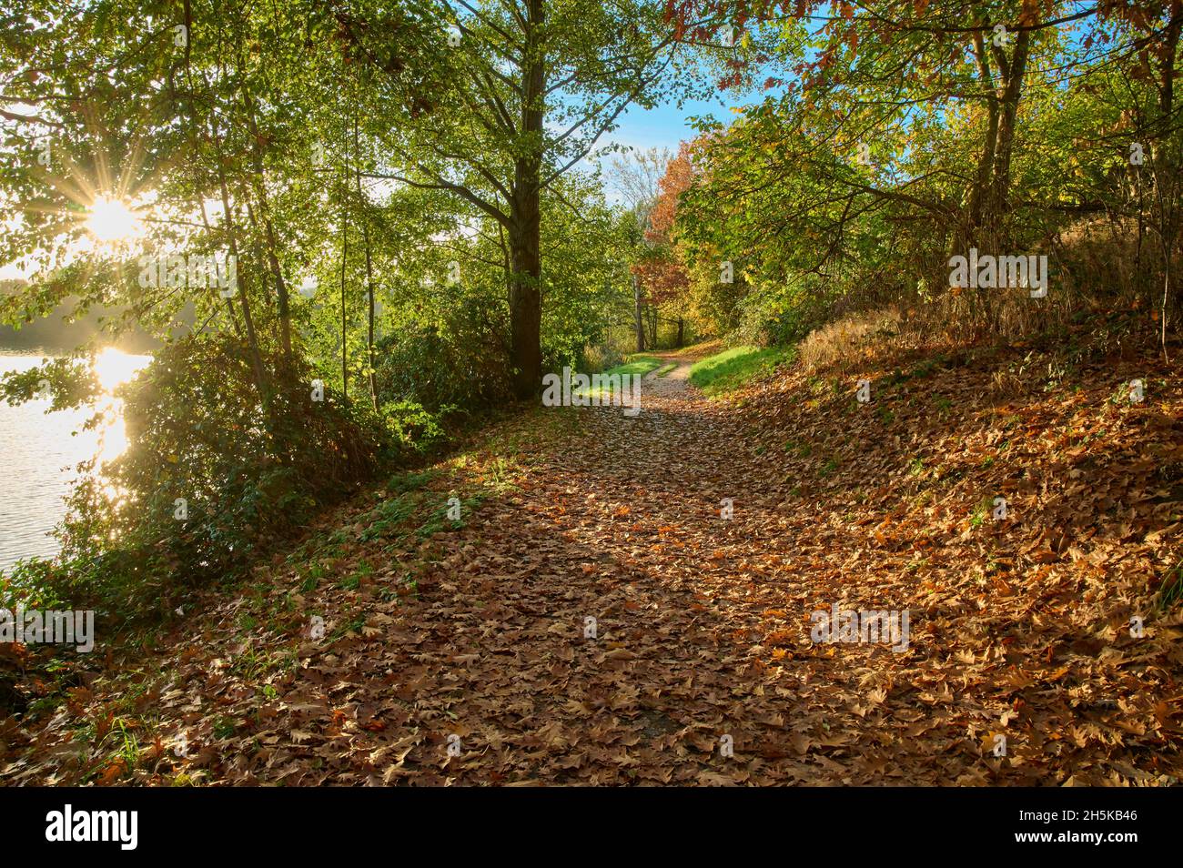 Fußweg am Herbstmorgen mit See; Niedernberg, Bayern, Deutschland Stockfoto