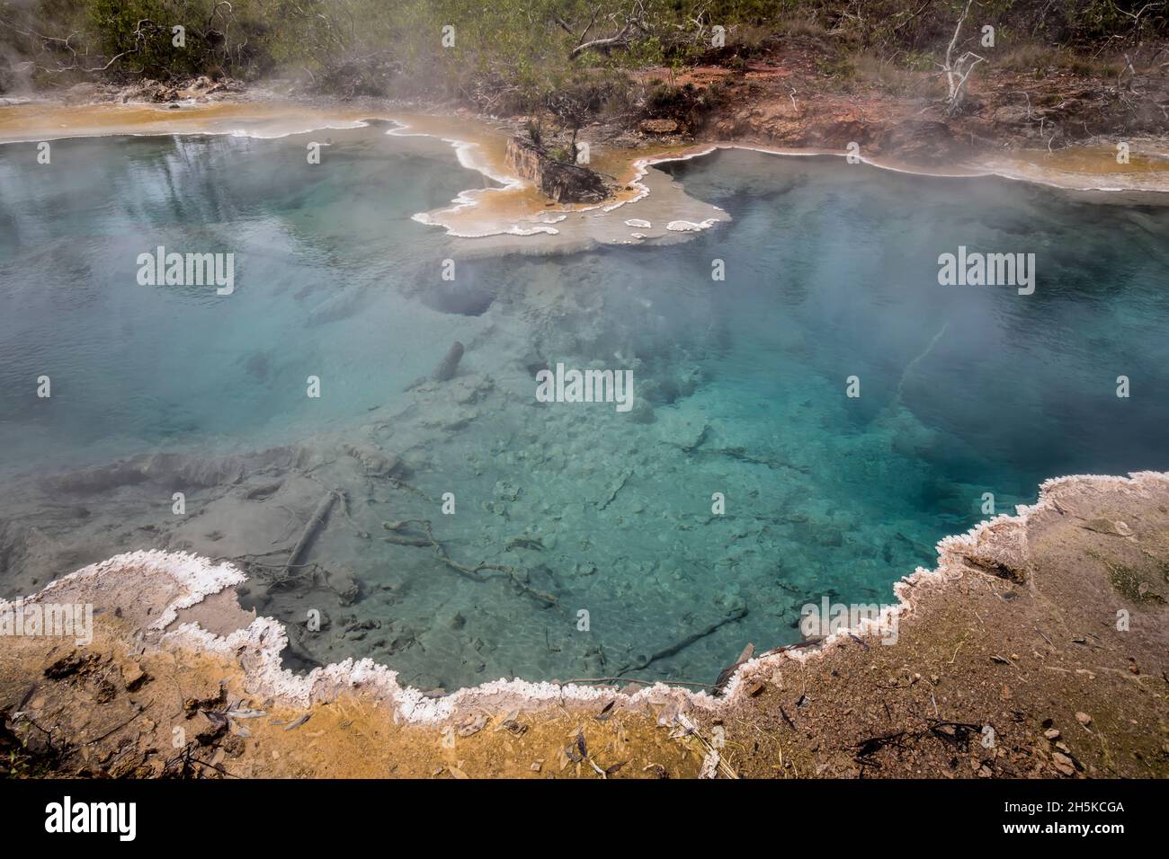Die heißen Quellen dei Dei; Fergusson Island, D'Entrecasteaux Islands, Papua-Neuguinea Stockfoto