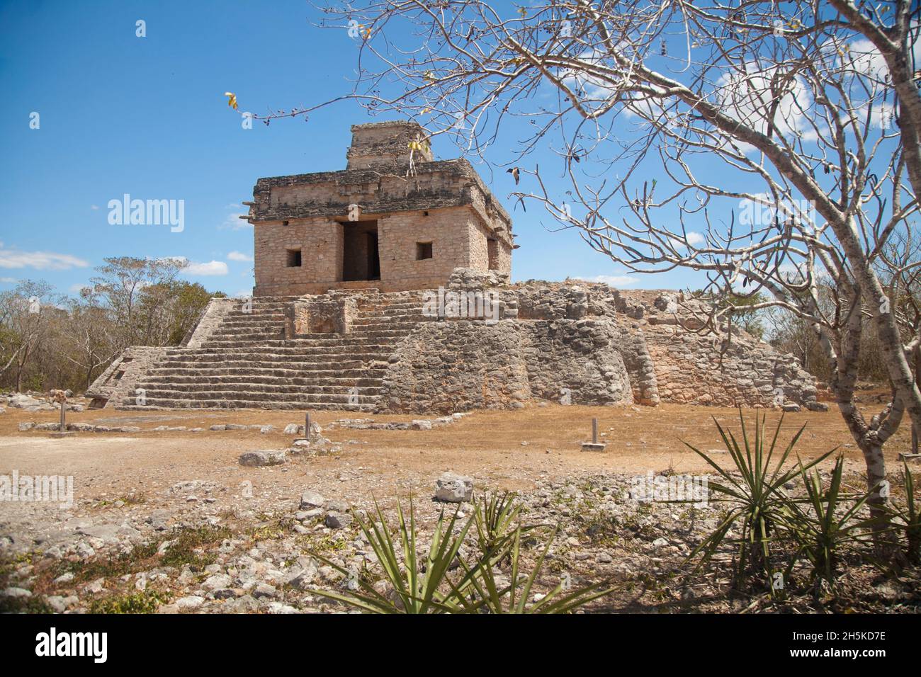 Tempel der Sieben Puppen in Dzibilchaltun, einer archäologischen Stätte der Maya; Merida, Yucatan, Mexiko Stockfoto