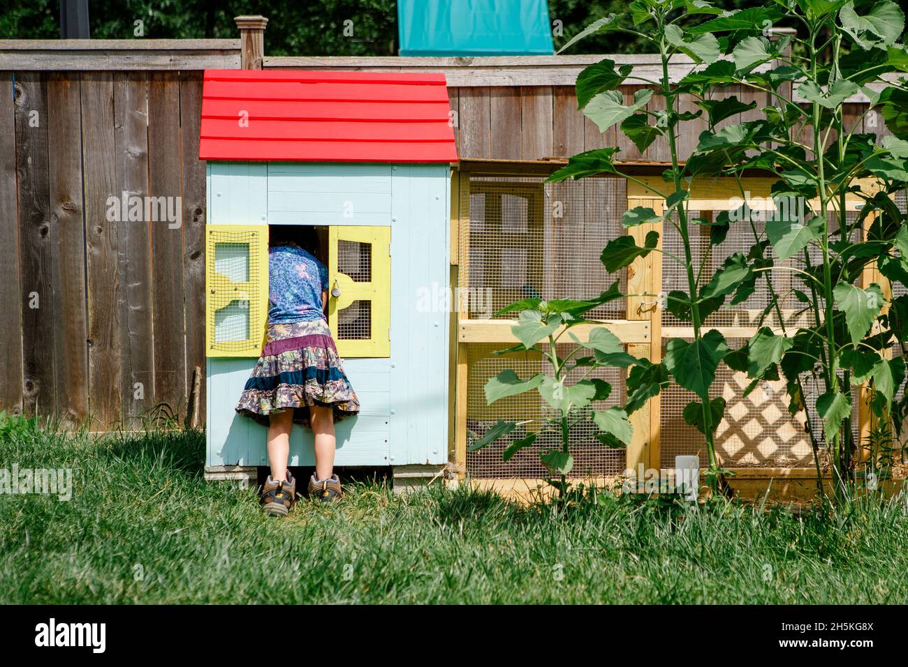 Rückansicht eines kleinen Mädchens in großen Stiefeln, das sich in einem Hühnerstall lehnt Stockfoto