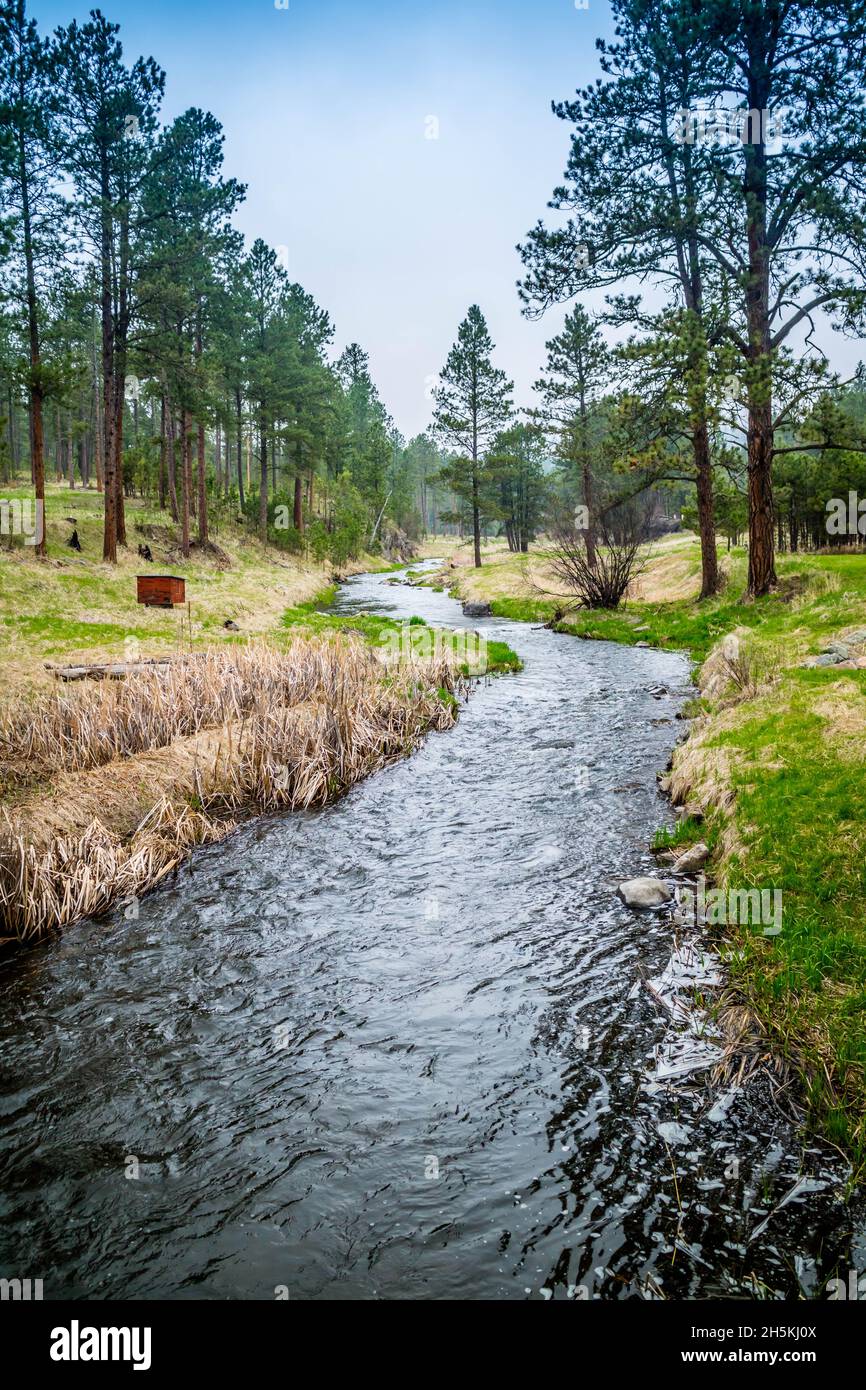 Die erfrischenden Fluss der natürlichen Ressource Wasser aus einem Bach Stockfoto