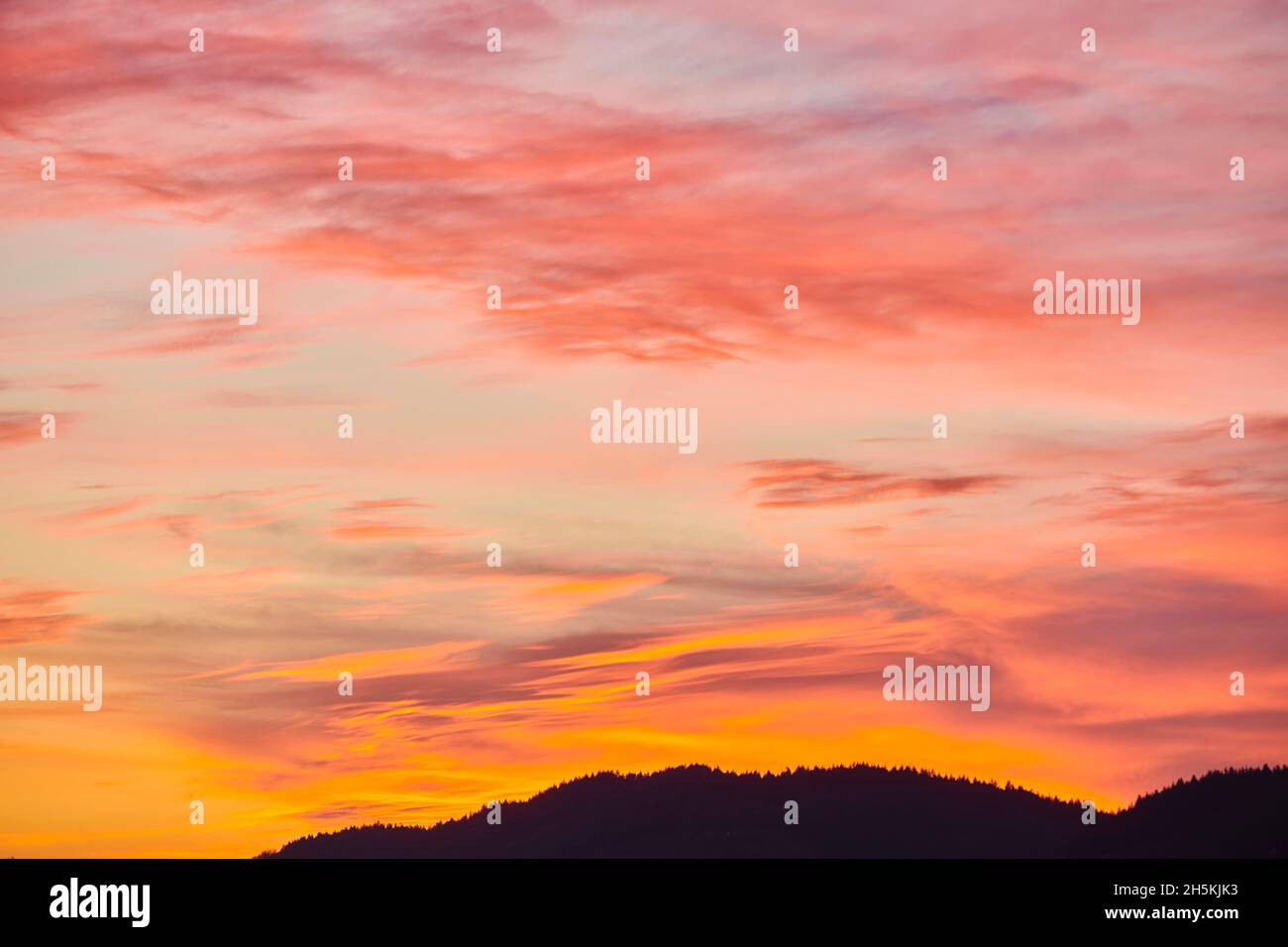 Leuchtende Wolken in warmen rosa und gelben Farbtönen bei Sonnenuntergang, Oberpfalz, Bayerischer Wald; Bayern, Deutschland Stockfoto