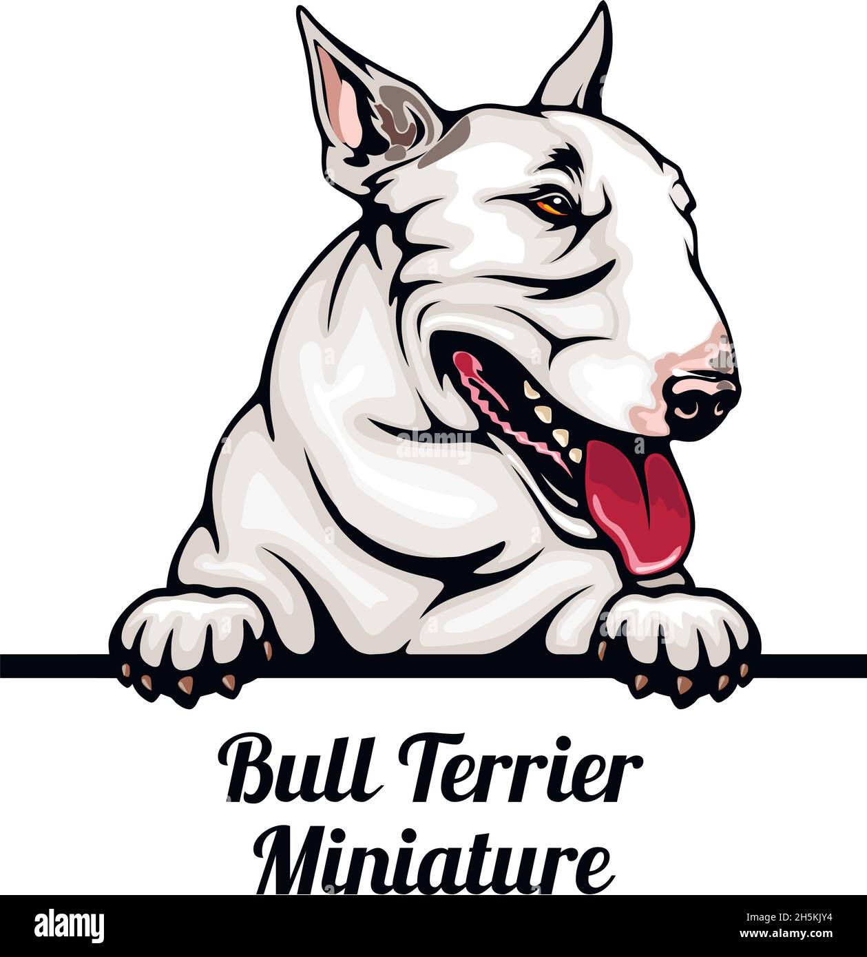 Auto Aufkleber Bull Terrier Miniature 🔥 ohne Hintergrund, kleine