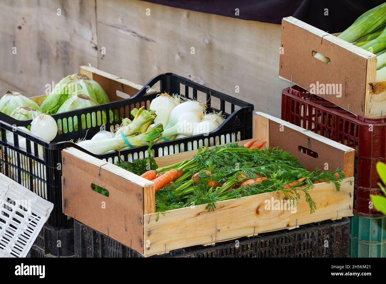 Schuss Karotten, Salat und Zwiebeln in verzehrfertigen Schachteln. Stockfoto