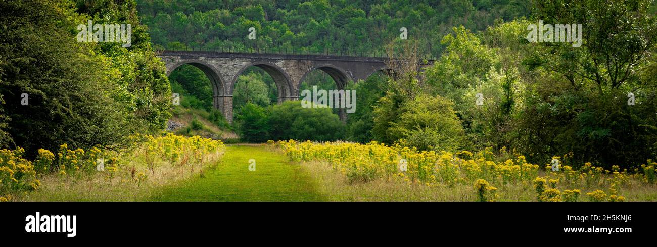 Monsal-Kopfviadukt, Monsal Dale, Derbyshire, England, Großbritannien Stockfoto