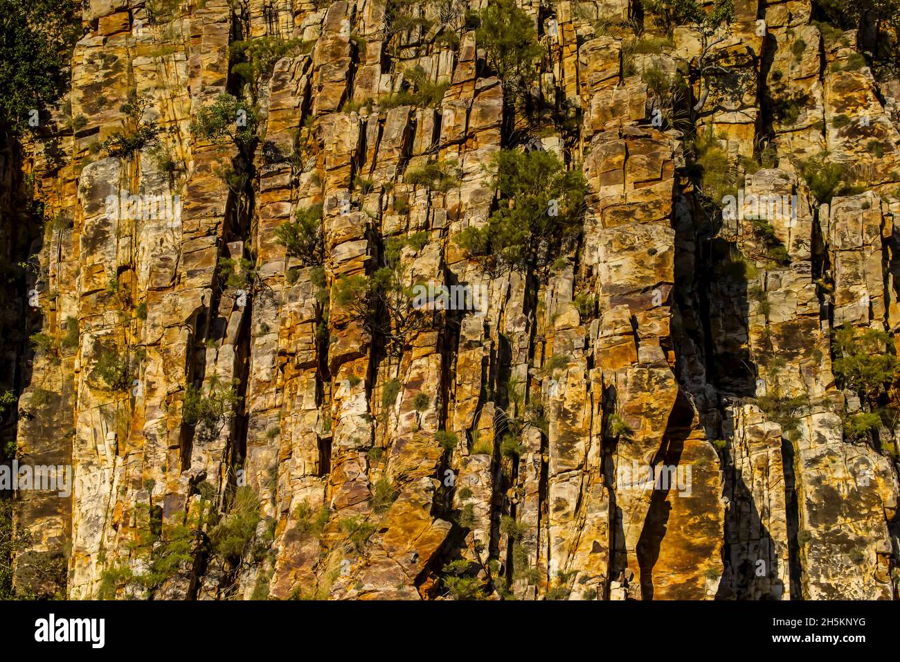 Ein Sandstein mit vertikalen Frakturen in der Nähe von Talbot Bay in der Kimberley Region Nordwesten Australiens. Stockfoto