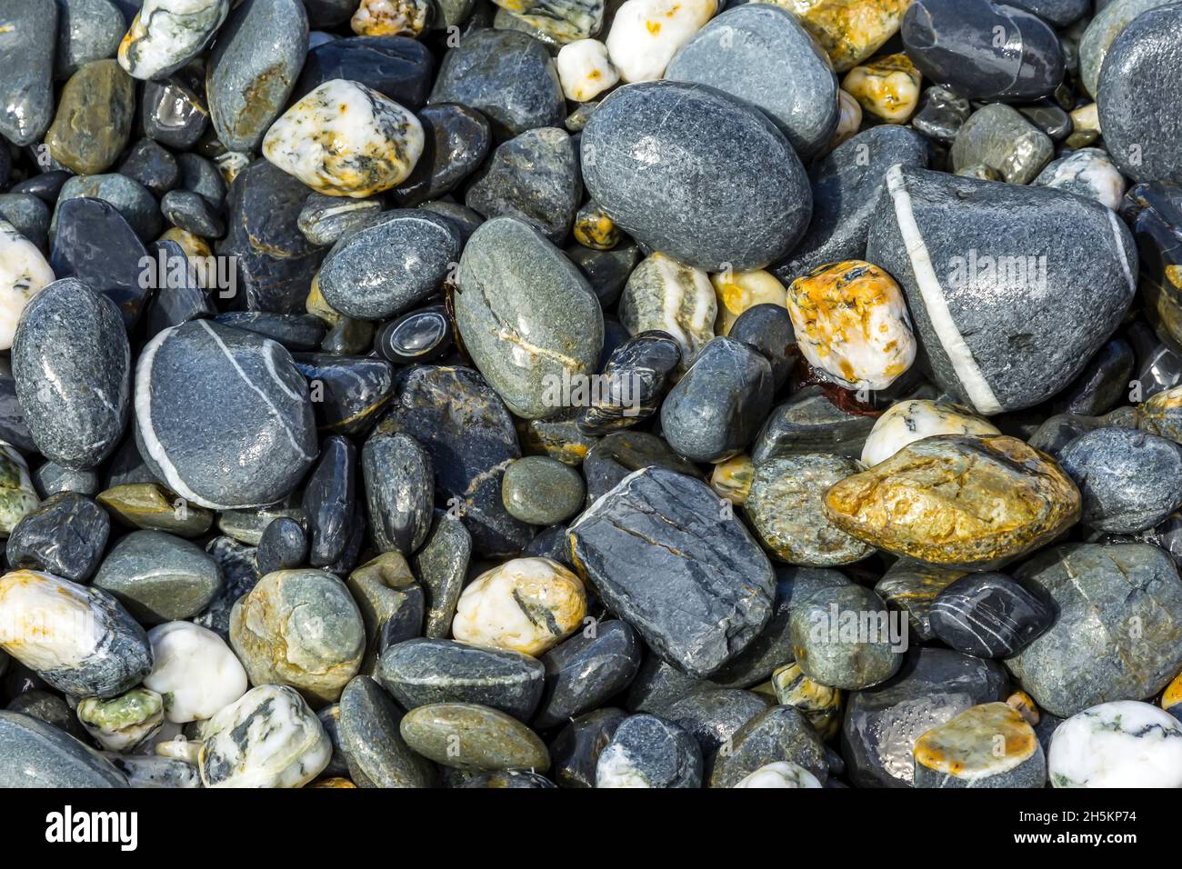Eine Nahaufnahme von Strand Rocks in Südgeorgien, Antarktis. Stockfoto