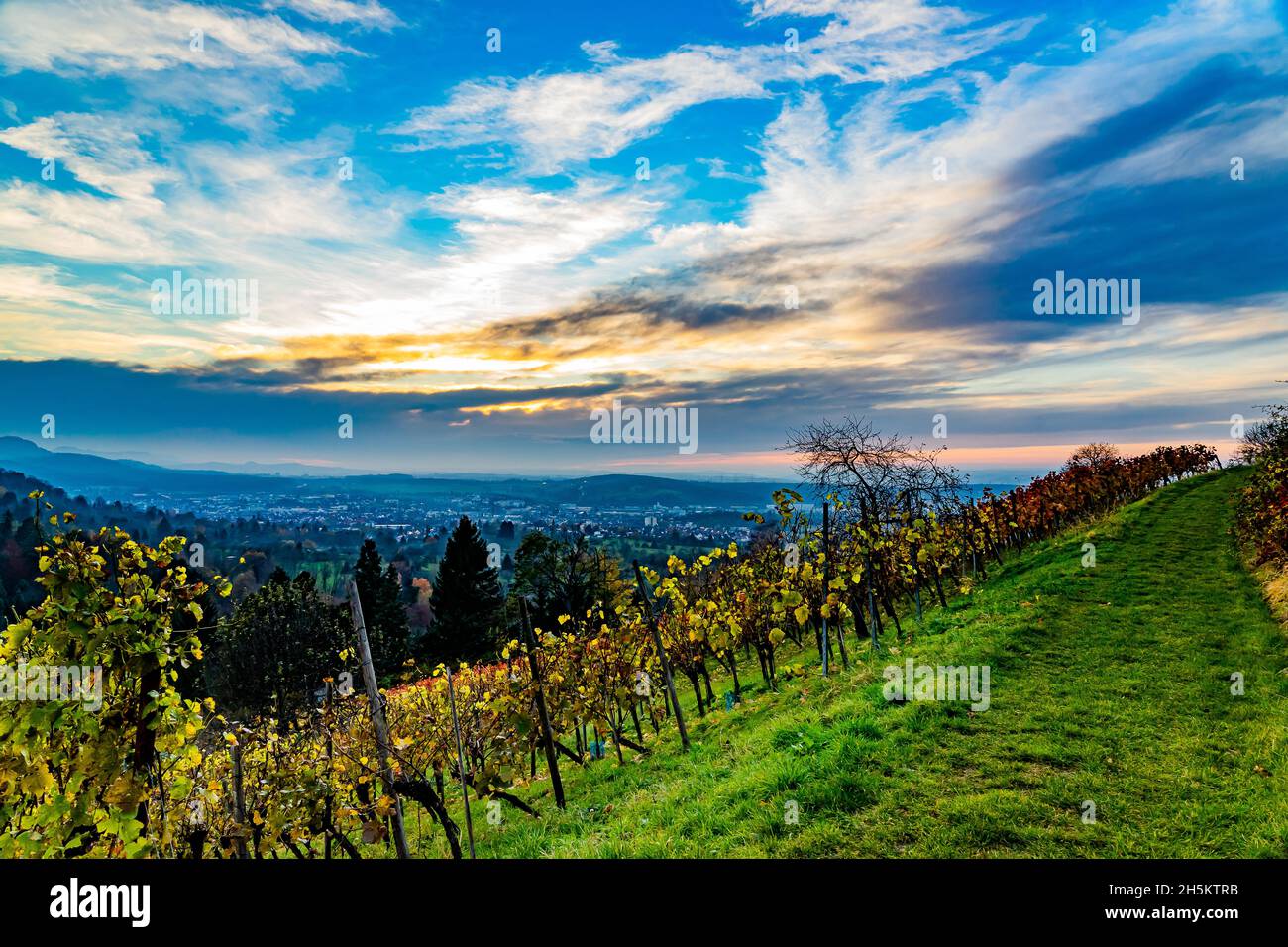 Blick über das Weingut Grafenberg auf die Stadt Metzingen bei Sonnenuntergang Stockfoto