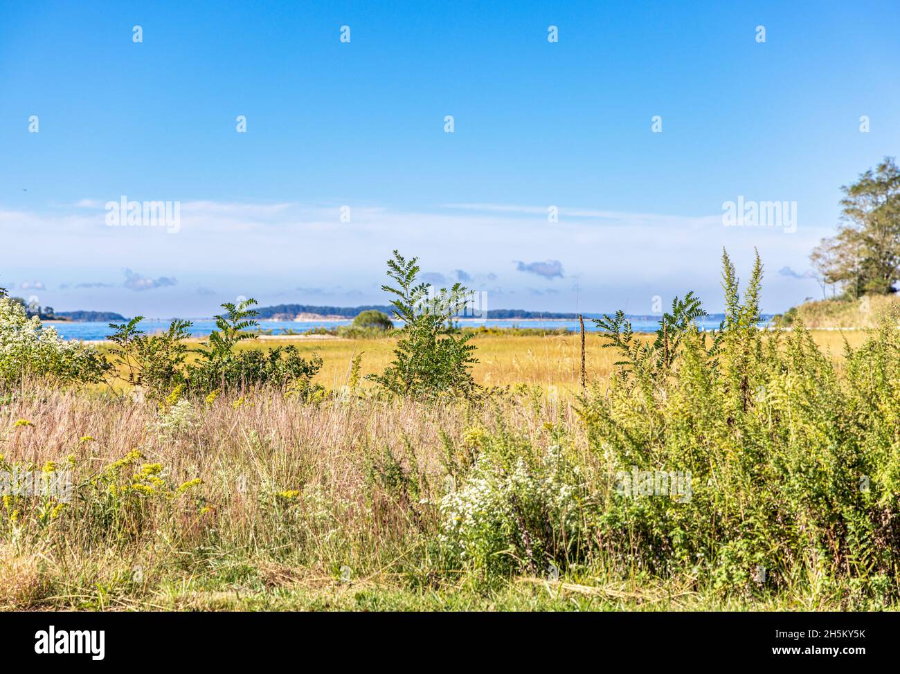 Landschaft in Shelter Island, NY Stockfoto