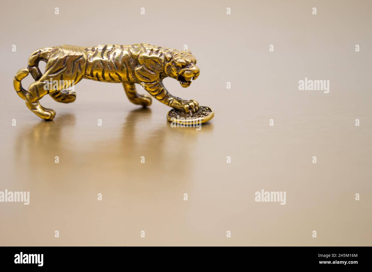 Eine Bronzefigur eines Tigers mit einer Münze - das Symbol des chinesischen Neujahrs 2022 auf goldenem Hintergrund, Kopierraum. Wünsche von viel Glück, finanzielle wir Stockfoto