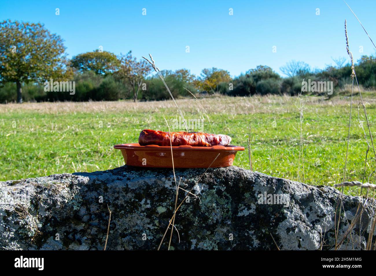 Gegrillter Chorizo auf Outdoor-Landschaft, Camping und Outdoor-Lifestyle. Freiheit und die Entdeckung natürlicher Lebensweisen. Petiscos de Portugal chouriça. Stockfoto