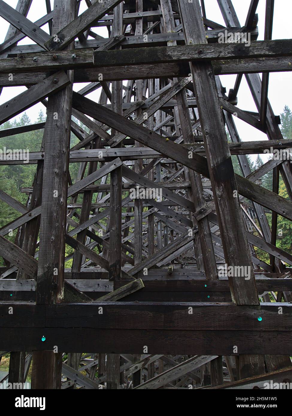 Blick auf die beeindruckende restaurierte Eisenbahnbrücke Kinsol Trestle aus Holz auf Vancouver Island, British Columbia, Kanada über den Koksilah River. Stockfoto