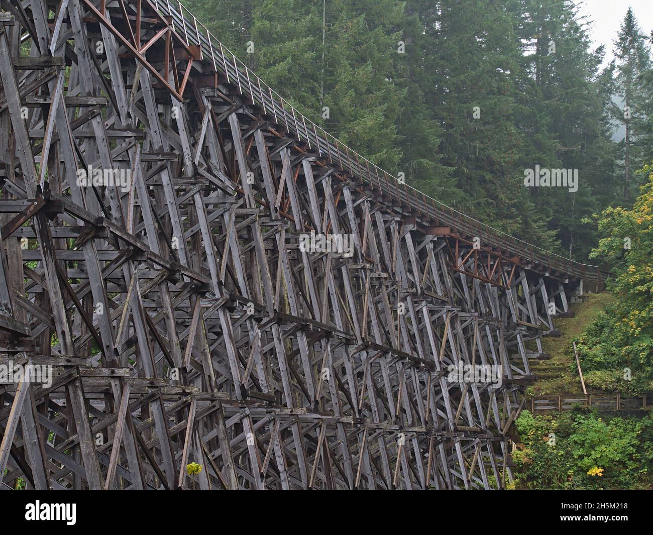 Oberer Abschnitt der hölzernen Eisenbahnbrücke Kinsol Trestle an nebligen Tagen in der Herbstsaison, die durch dichten Wald auf Vancouver Island, BC, Kanada führt. Stockfoto
