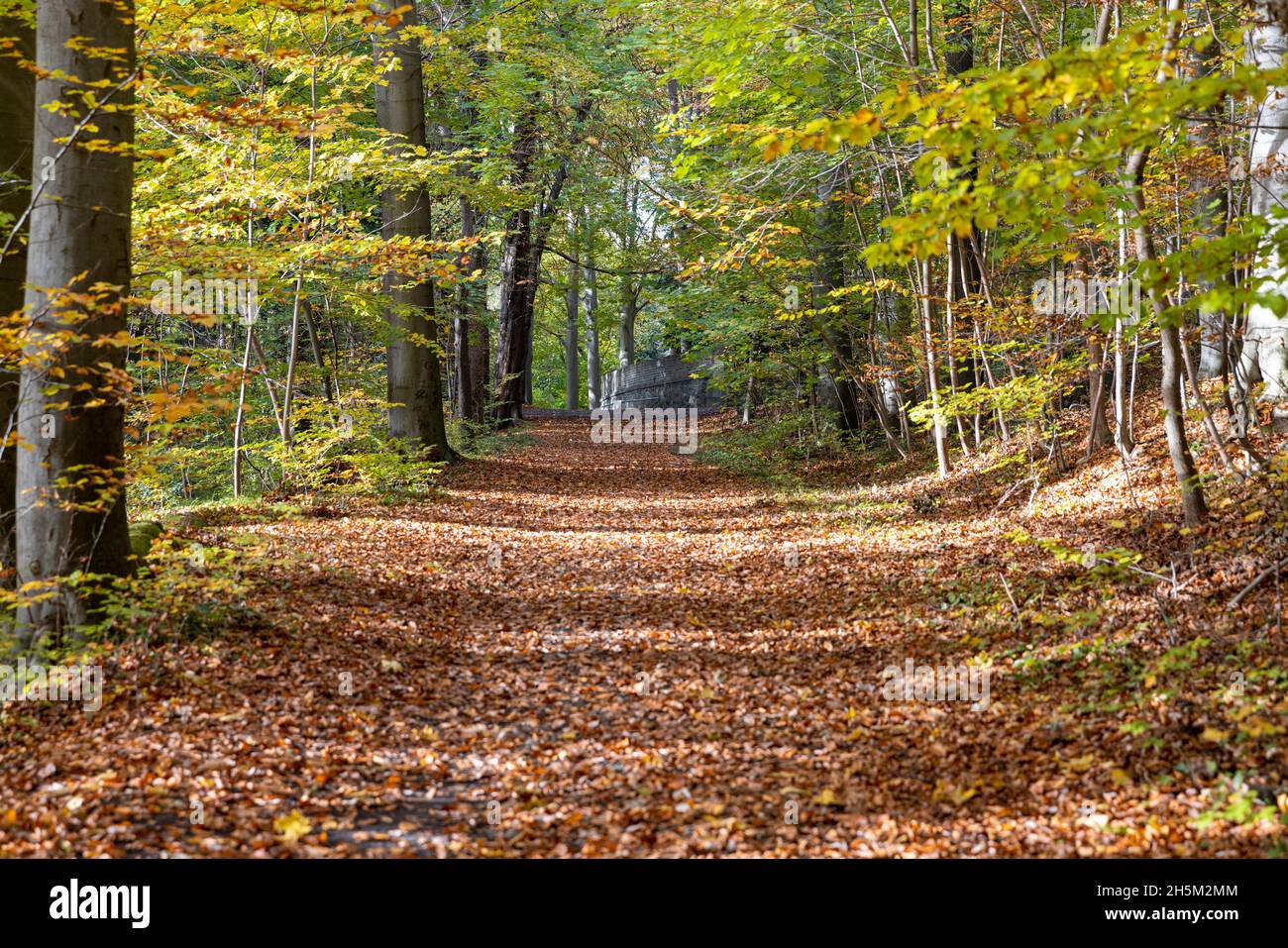 Siebengebirge in Deutschland bei strahlendem Herbstsonnen Stockfoto