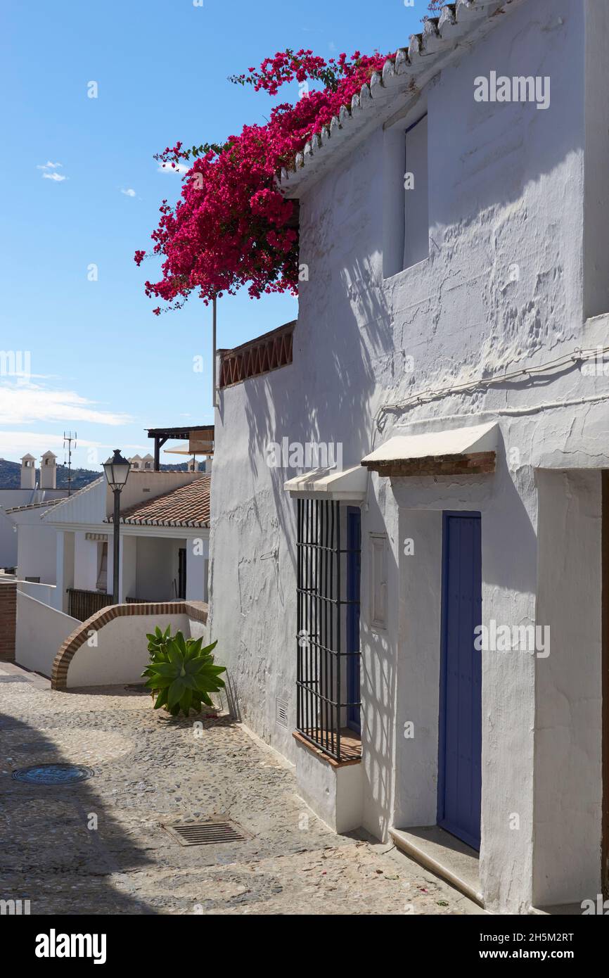 Dorf Frigiliana, typische Straßen der Axarquia in Malaga. Andalusien, Spanien Stockfoto