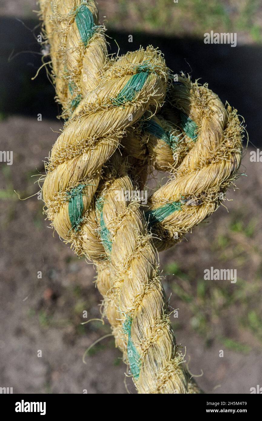 Großer Knoten im Seil Stockfoto