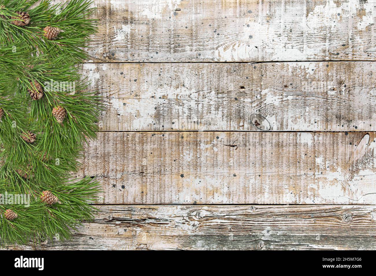 Rustikalen Holzhintergrund mit Weihnachtsbaum Äste Grenze Stockfoto