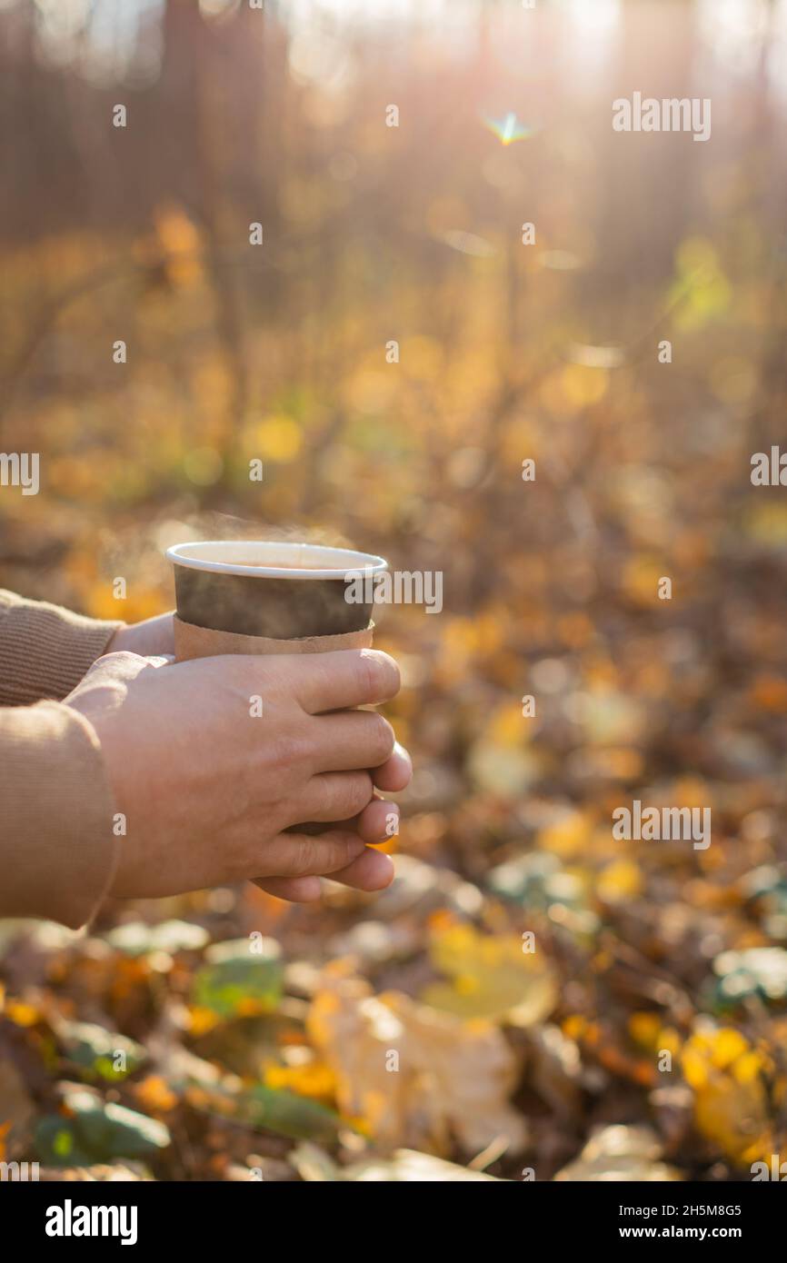 Im Herbst hält ein Mann einen Einweg-Papierbecher mit einem Getränk im Park. Das Konzept der Getränke, Tee, Kaffee, Herbst, Aufwärmen, Ruhe. Stockfoto