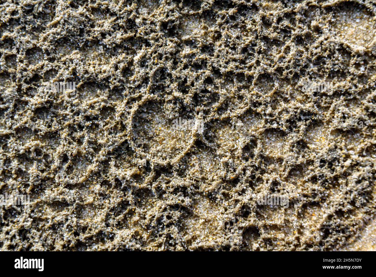 Textur von Schaum im Sand am Strand (Makro) Stockfoto