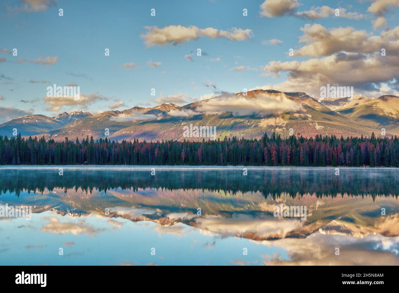 Morgensong in den Rocky Mountains am Annette Lake im Jasper National Park mit Spiegelungen des Majestic Mountain und des Aquila Mountain auf dem ruhigen W Stockfoto