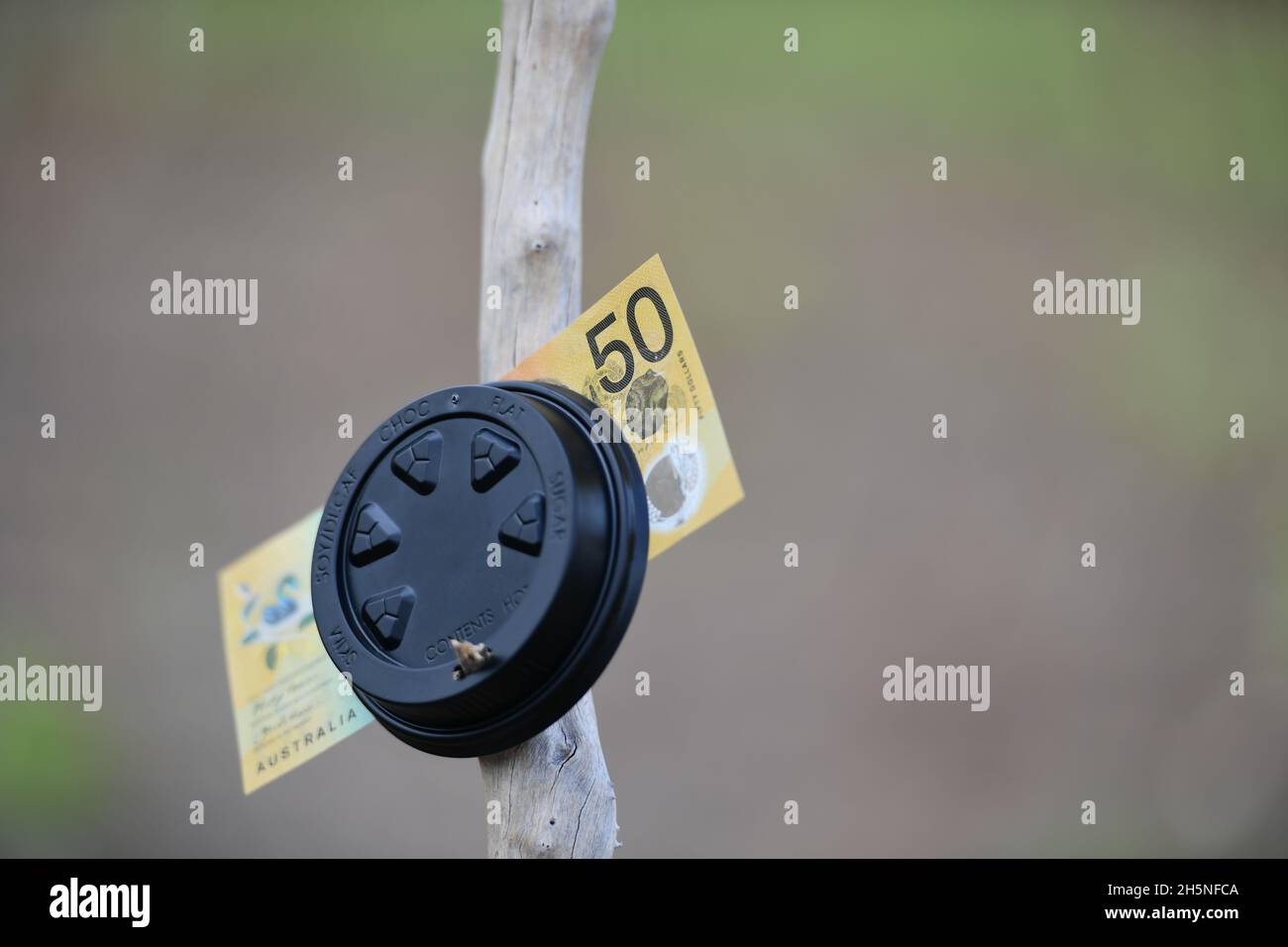 Australische 50-Dollar-Geldnote mit Plastikdeckel inmitten von Bäumen in der Natur. Stockfoto