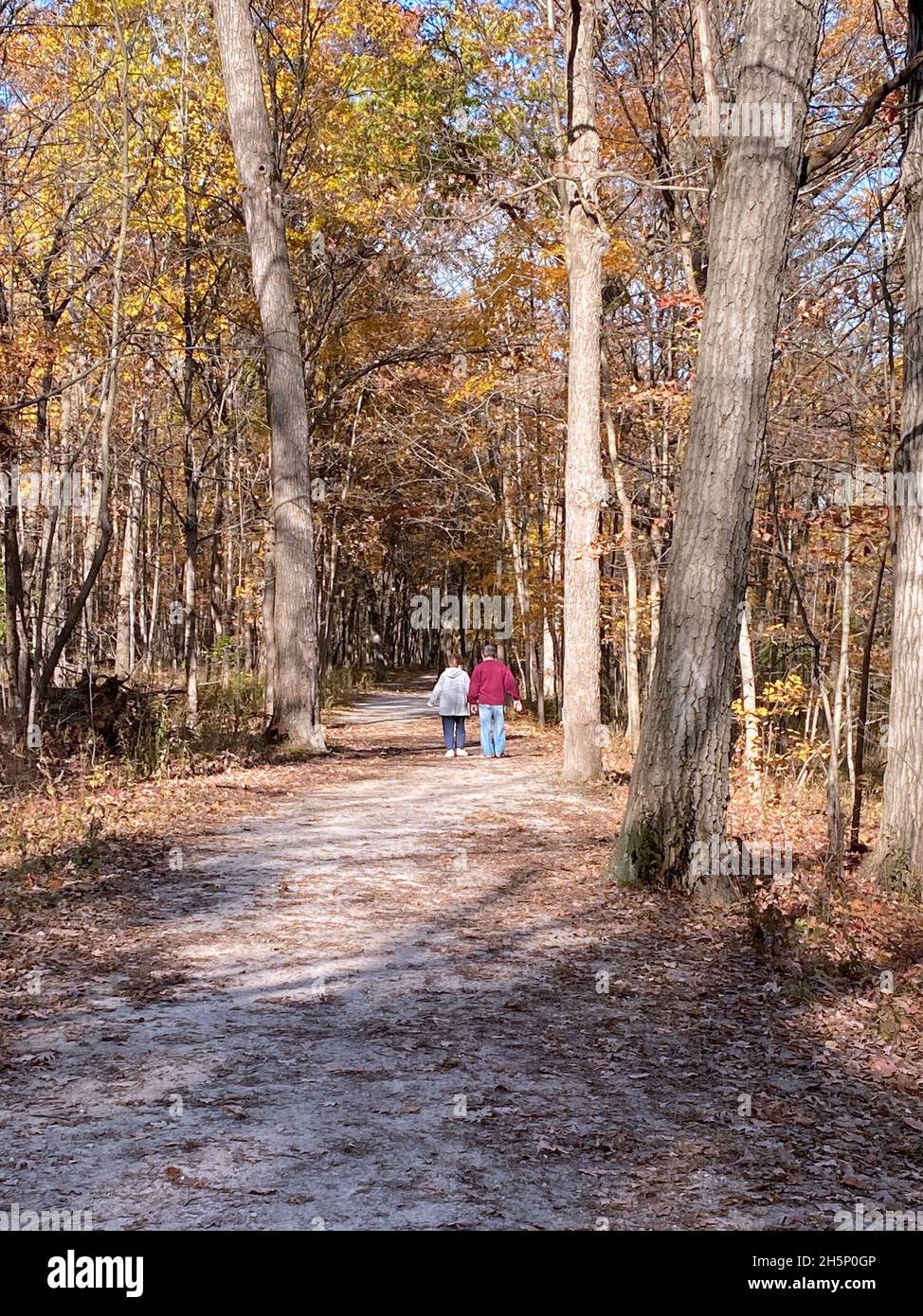 Ein älteres Paar, das an einem späten Herbstnachmittag auf einem Waldschutzpfad in Cook County, Illinois, spazieren geht. Stockfoto