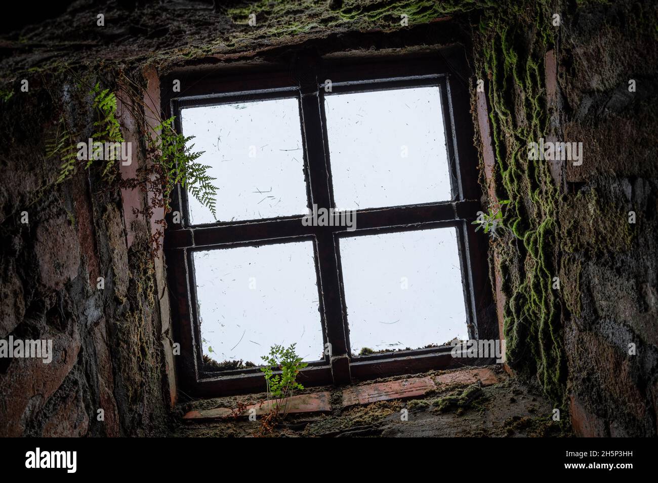 Licht kommt durch ein Fenster im Kerker des Peterhof-Schlosses. Sankt Petersburg, Russland. Stockfoto