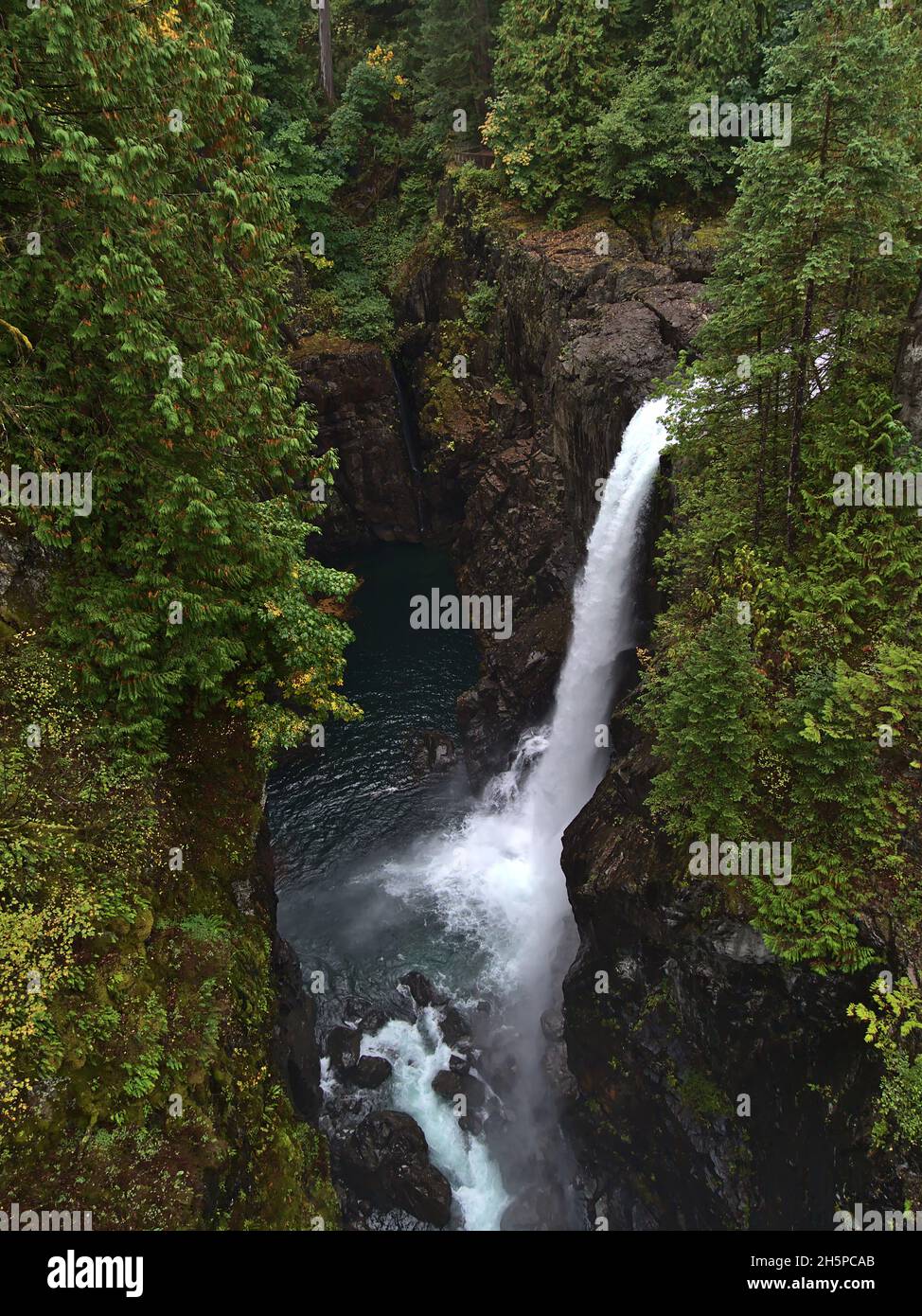 Blick auf den Wasserfall Elk Falls im Provincial Park in der Nähe des Campbell River auf Vancouver Island, British Columbia, Kanada in der Schlucht. Stockfoto