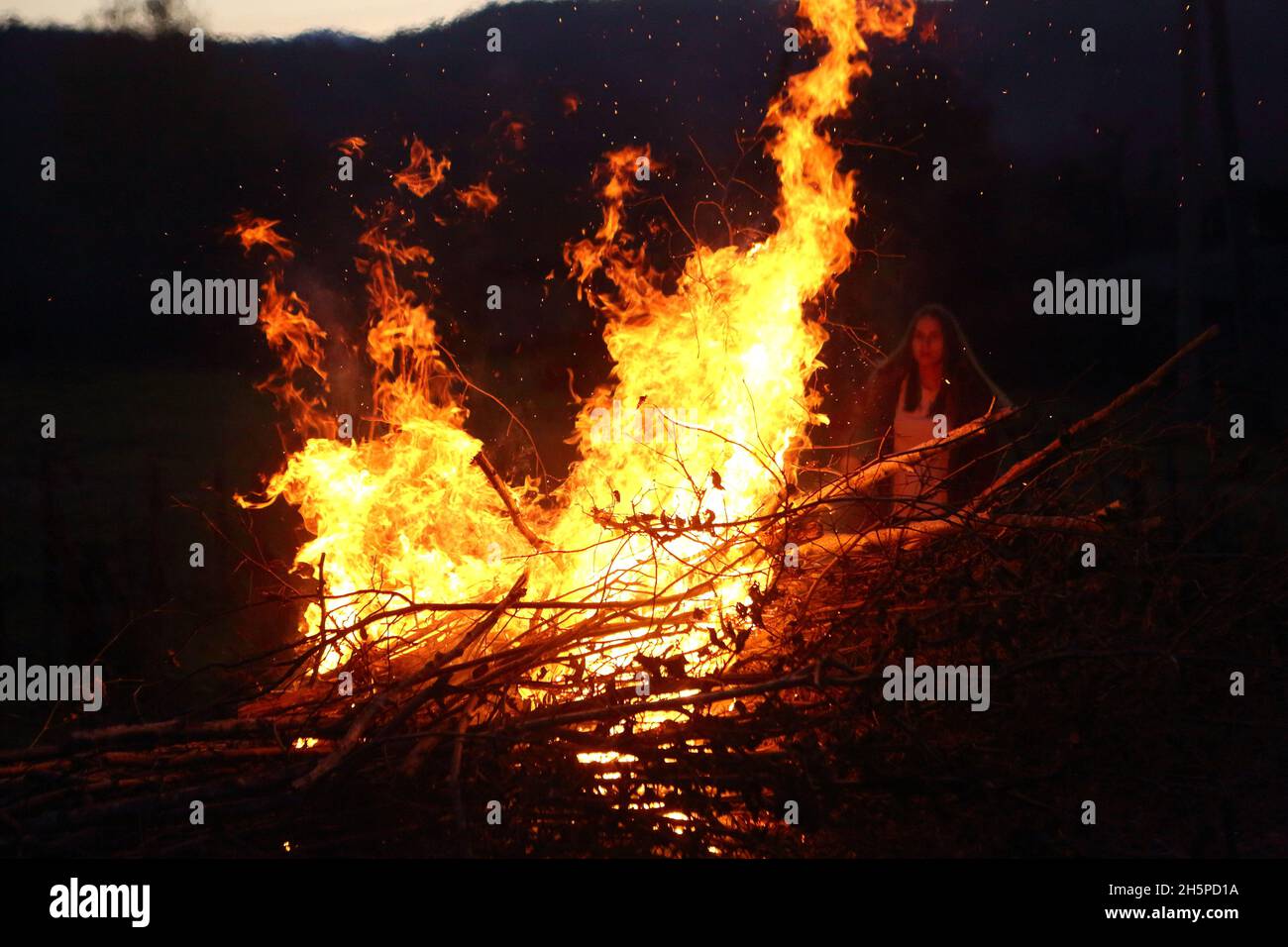 Lagerfeuer Flamme im Wald Stockfoto