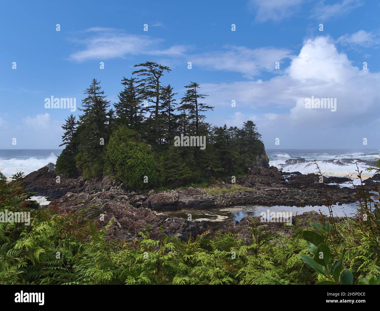 Raues Meer mit starker Brandung und Wellen, die auf Felsen brechen, an der Pazifikküste nahe Ucluelet auf Vancouver Island, British Columbia, mit grüner Vegetation. Stockfoto