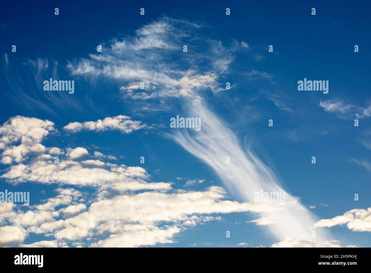 Cirrus- und Cumulus-Wolken am blauen Himmel in Alberta, Kanada Stockfoto