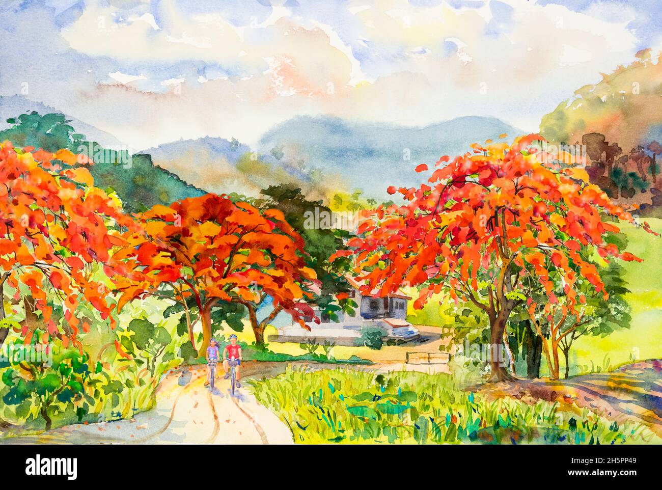 Malerei Aquarell Landschaft original rot orange Farbe der Pfau Blumen, und Mädchen, Mann, Radfahren Übung Morgen. Handbemalt, blauer Himmel Wolke Hintergrund Stockfoto