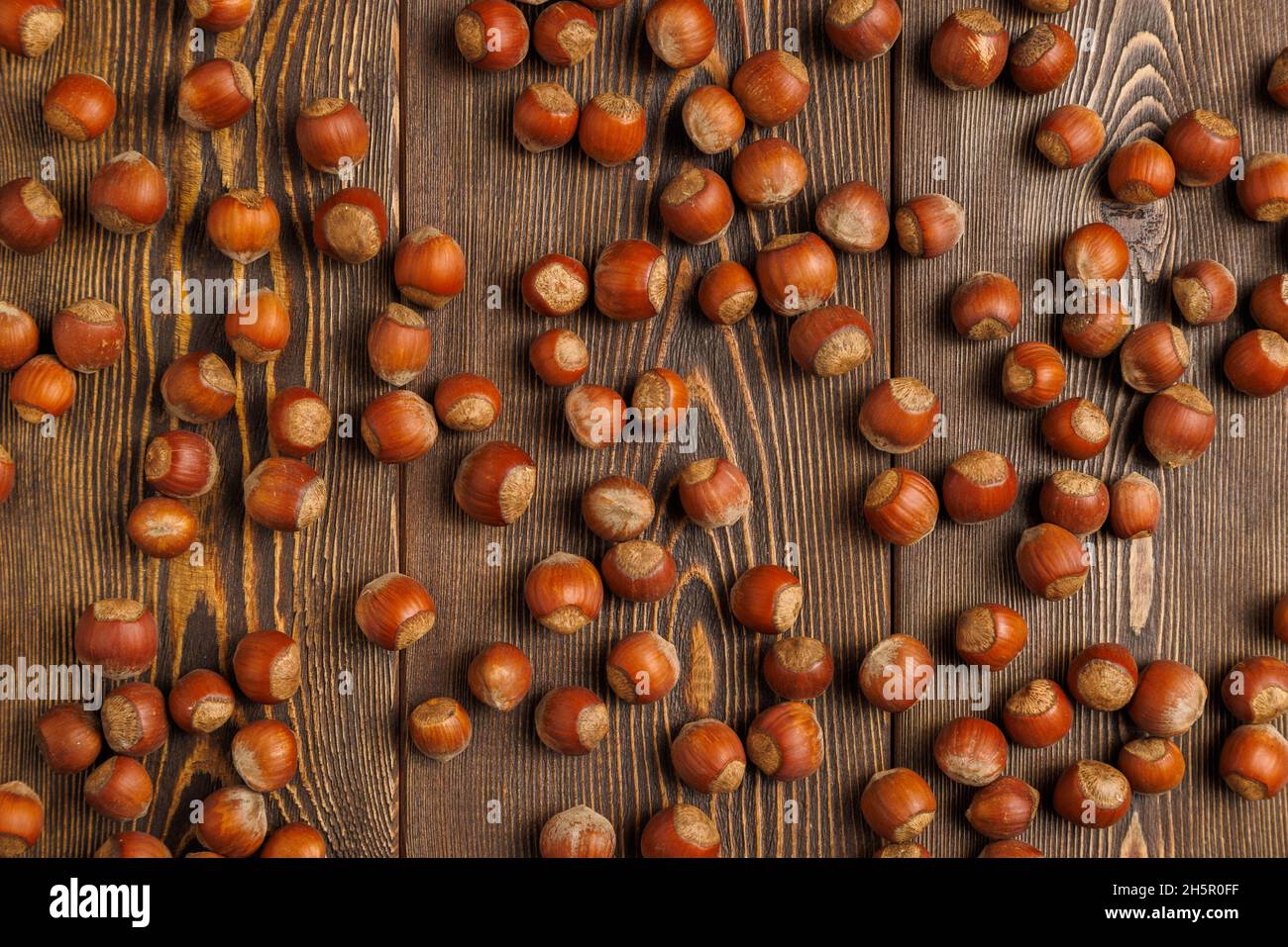 Viele Haselnüsse mit Muscheln gleichmäßig auf brauner Holzoberfläche verteilt Stockfoto