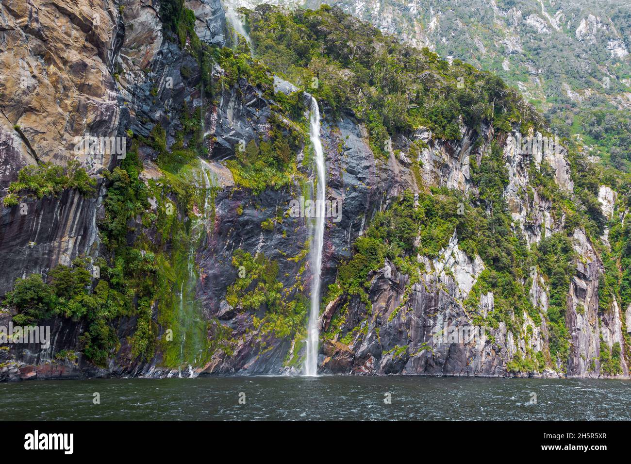 Kleine Wasserströme aus den Bergen. Fiordland Park. Südinsel, Neuseeland Stockfoto