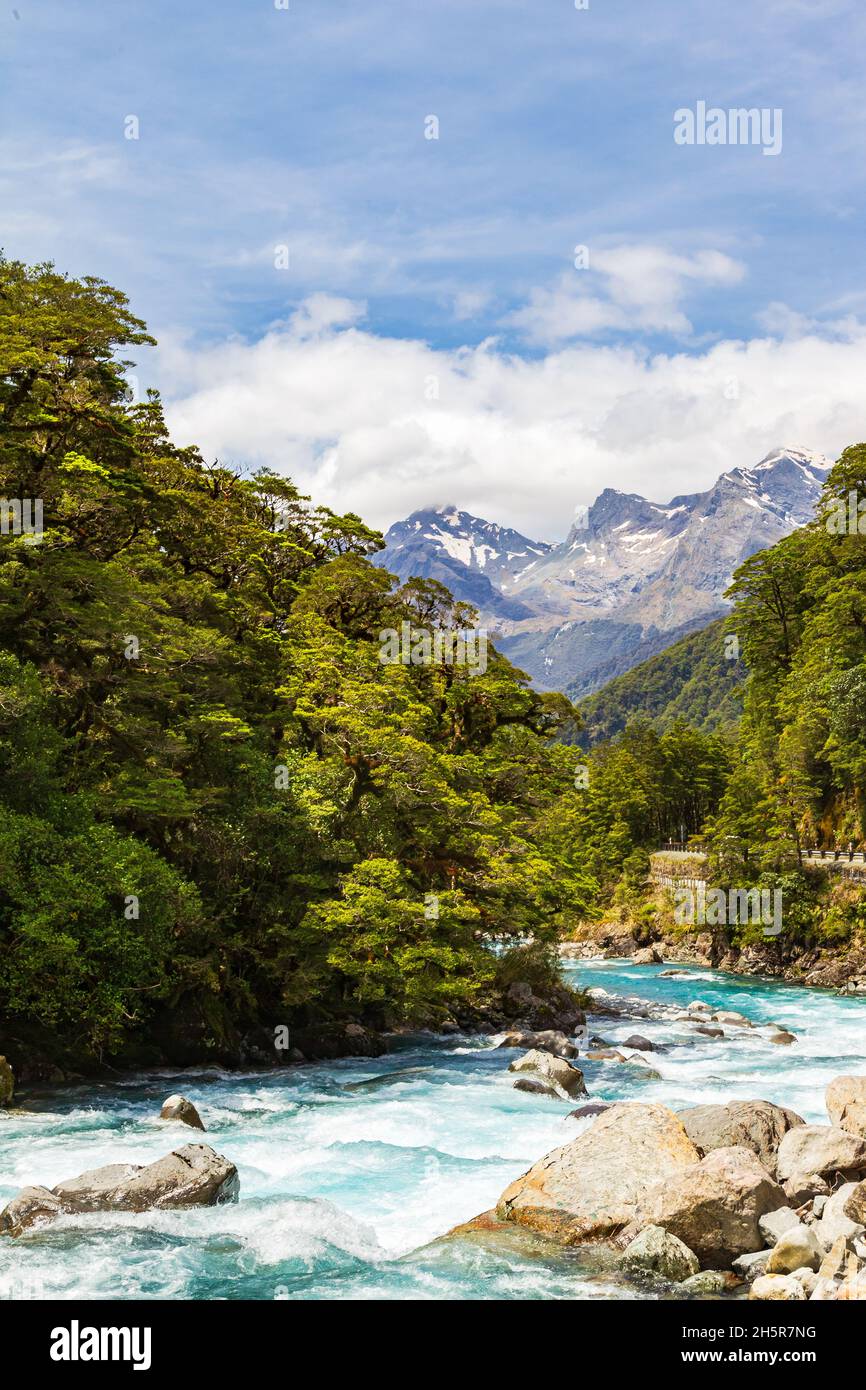 Rauer Fluss fließt in die Fjorde. Fjordland, Neuseeland Stockfoto