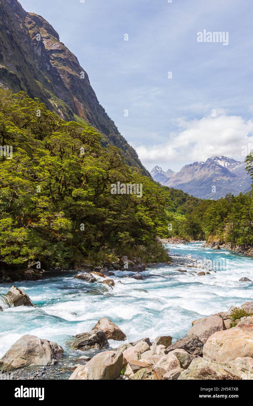 Landschaften des Fiordland National Park. Turbulenter Fluss entlang der Straße. Neuseeland Stockfoto