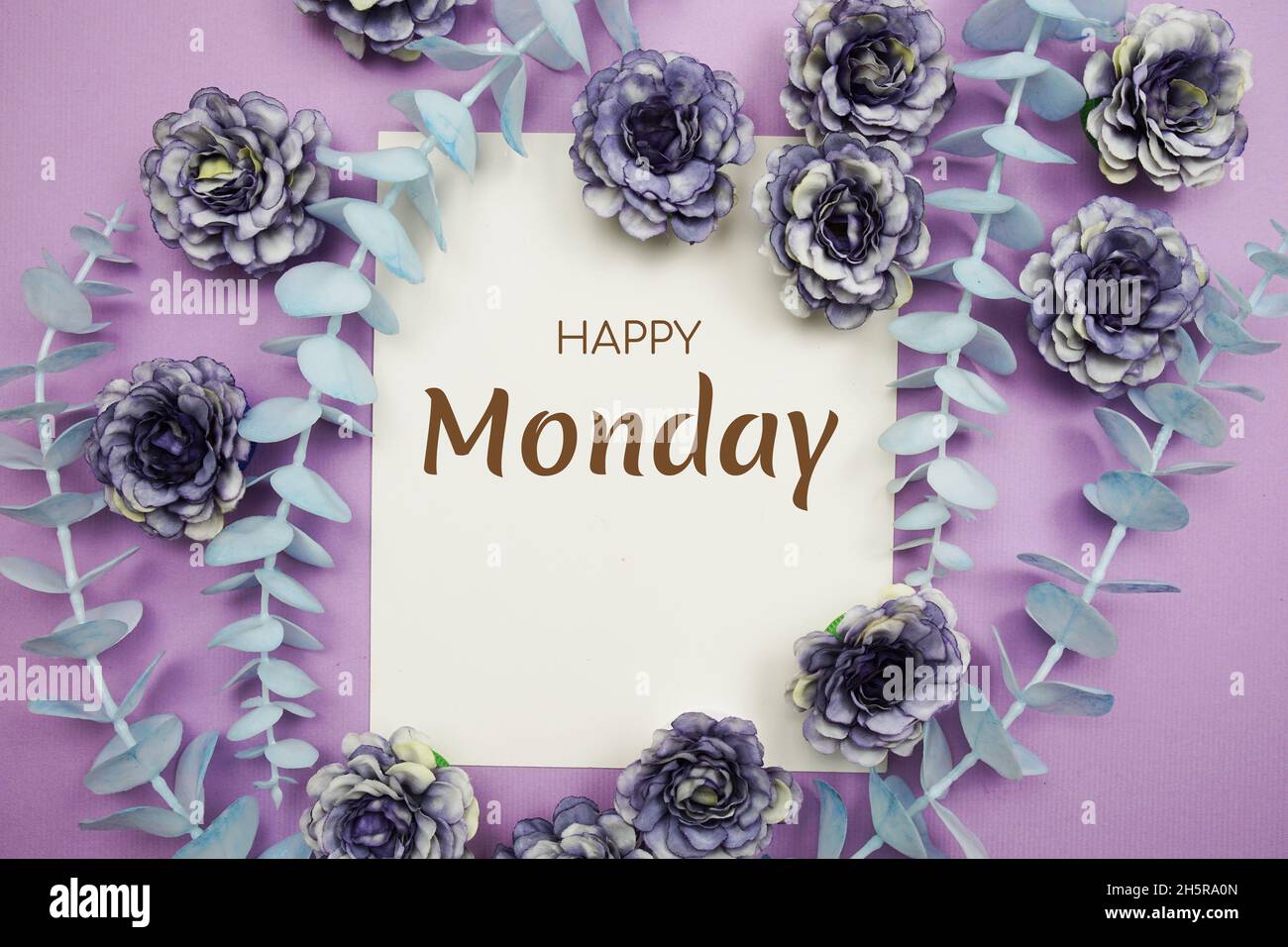 Happy Monday Typografie Text und Blume schmücken auf lila Hintergrund Stockfoto