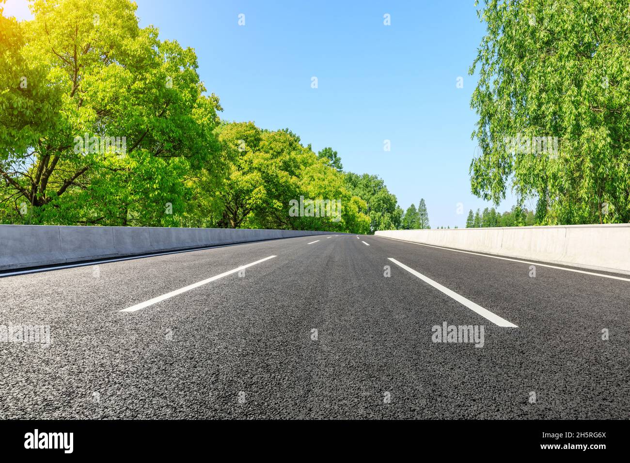 Asphaltierte Straßen und grüner Wald Hintergrund. Stockfoto